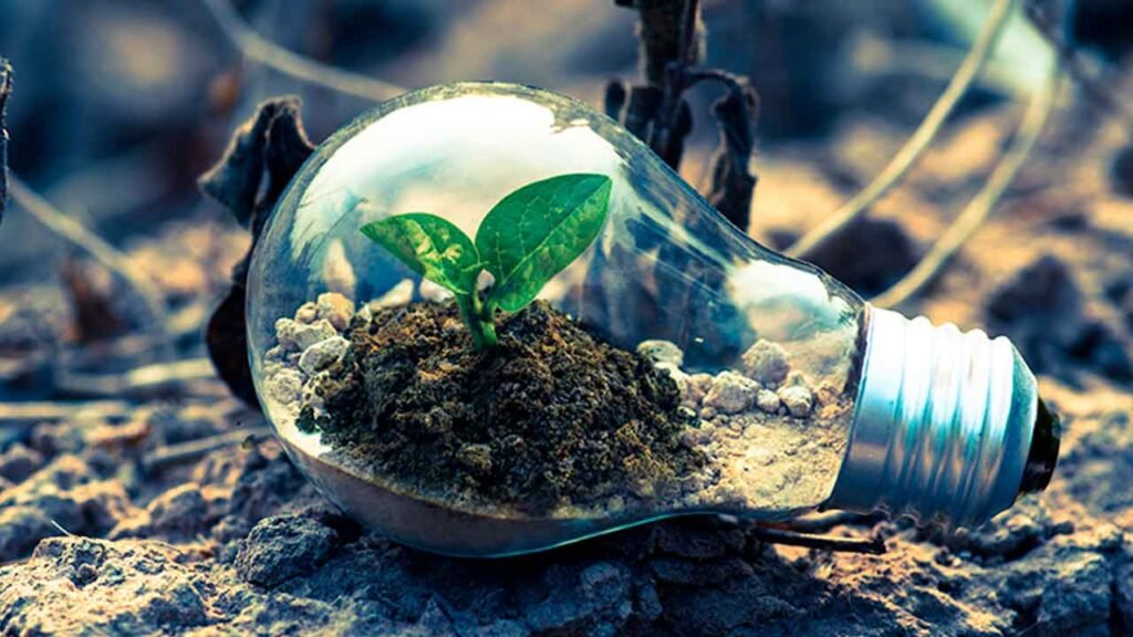 emprendimiento sostenible